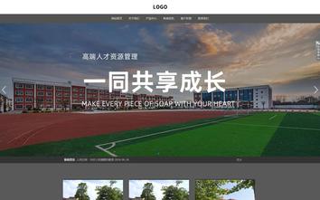 响应式成品案例站No:803