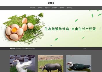 响应式成品案例站No:803