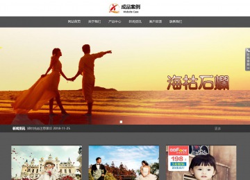 响应式成品案例站No:803