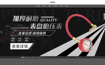 响应式成品案例站No:803