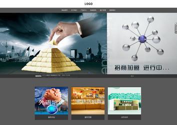 响应式成品案例站No:803