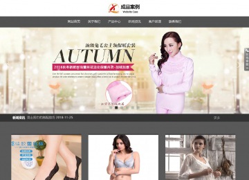 响应式成品案例站No:803