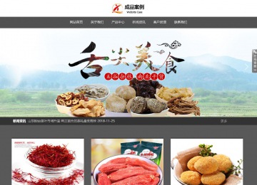 响应式成品案例站No:803