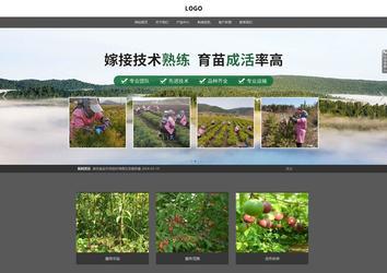 响应式成品案例站No:803