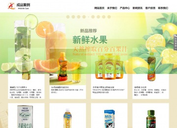 响应式成品案例站No:804