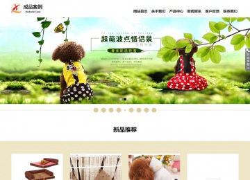 响应式成品案例站No:804