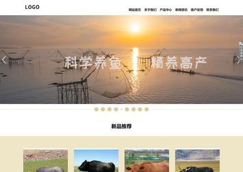 响应式成品案例站No:804