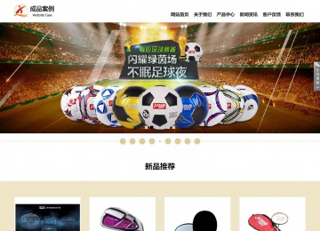 响应式成品案例站No:804