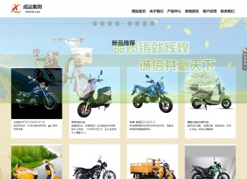 响应式成品案例站No:804