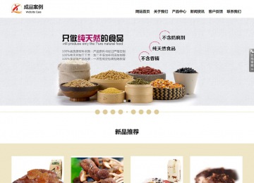 响应式成品案例站No:804