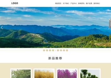 响应式成品案例站No:804