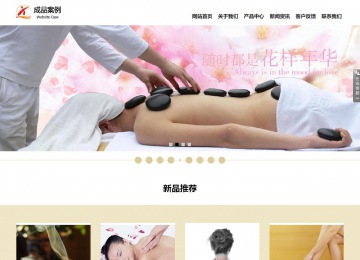 响应式成品案例站No:804