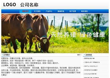 经济型成品案例No:8045