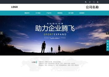 响应式成品案例站No:805