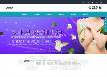 响应式成品案例站No:805