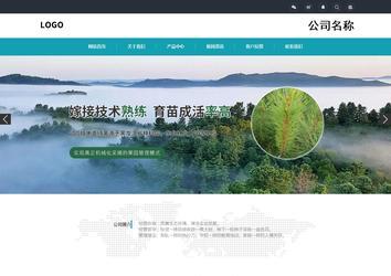 响应式成品案例站No:805