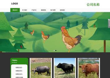 响应式成品案例站No:806