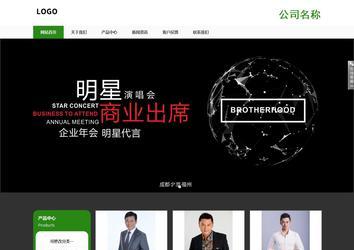 响应式成品案例站No:806