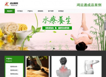 响应式成品案例站No:806