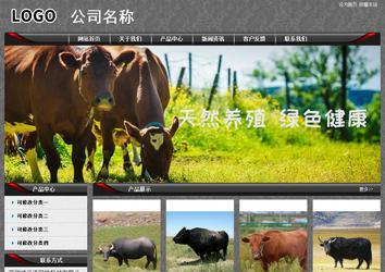 经济型成品案例站No:8060