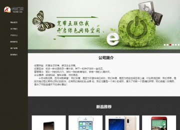 响应式成品案例站No:807