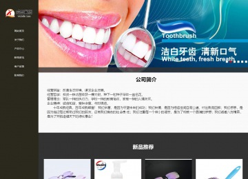 响应式成品案例站No:807