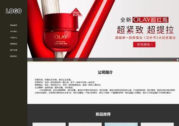 响应式成品案例站No:807