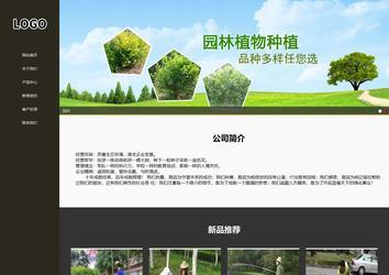 响应式成品案例站No:807