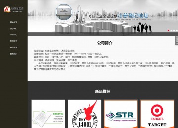 响应式成品案例站No:807