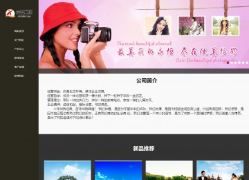 响应式成品案例站No:807