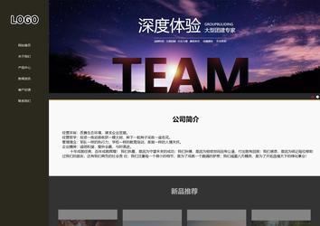 响应式成品案例站No:807