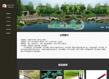 响应式成品案例站No:807