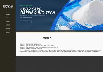 响应式成品案例站No:807