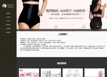 响应式成品案例站No:807