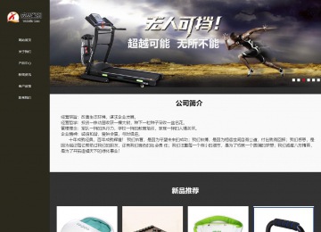 响应式成品案例站No:807