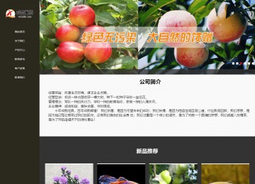 响应式成品案例站No:807