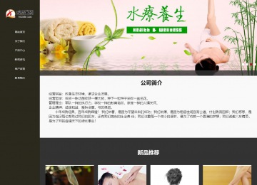 响应式成品案例站No:807