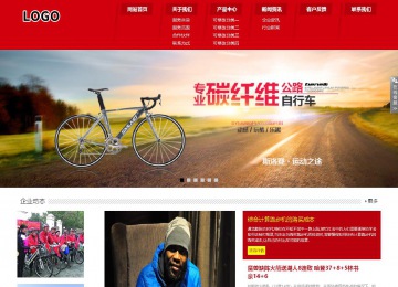 响应式成品案例站No:808