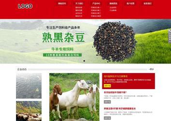 响应式成品案例站No:808