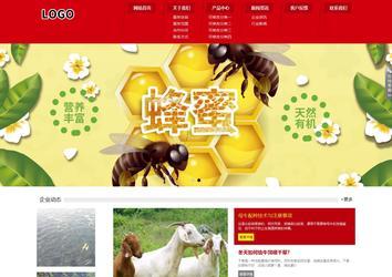 响应式成品案例站No:808