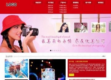 响应式成品案例站No:808