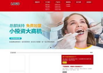 响应式成品案例站No:808