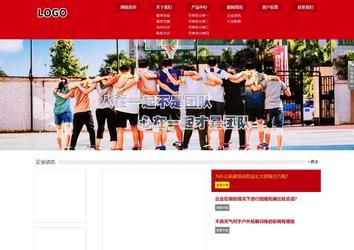 响应式成品案例站No:808