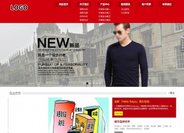 响应式成品案例站No:808