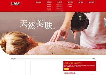 响应式成品案例站No:808