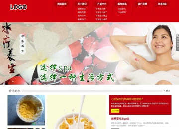 响应式成品案例站No:808