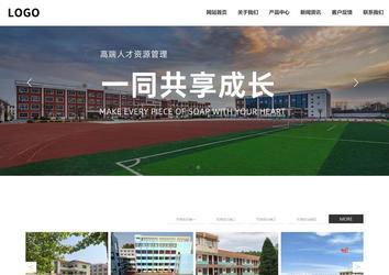 响应式成品案例站No:809