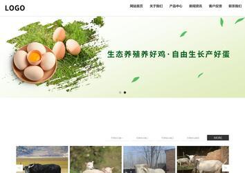 响应式成品案例站No:809