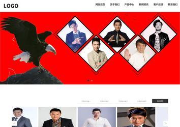 响应式成品案例站No:809