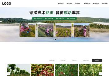 响应式成品案例站No:809